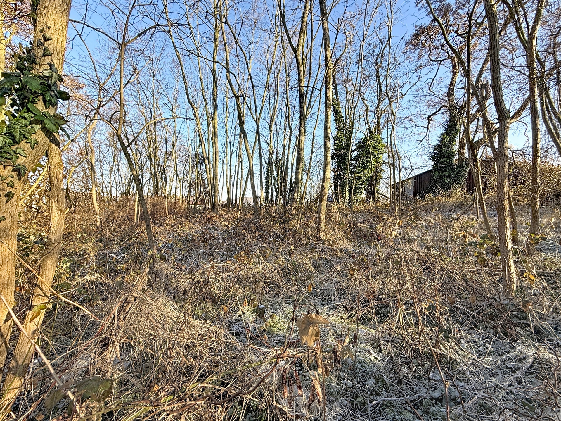 Photo du bien Terrain à vendre