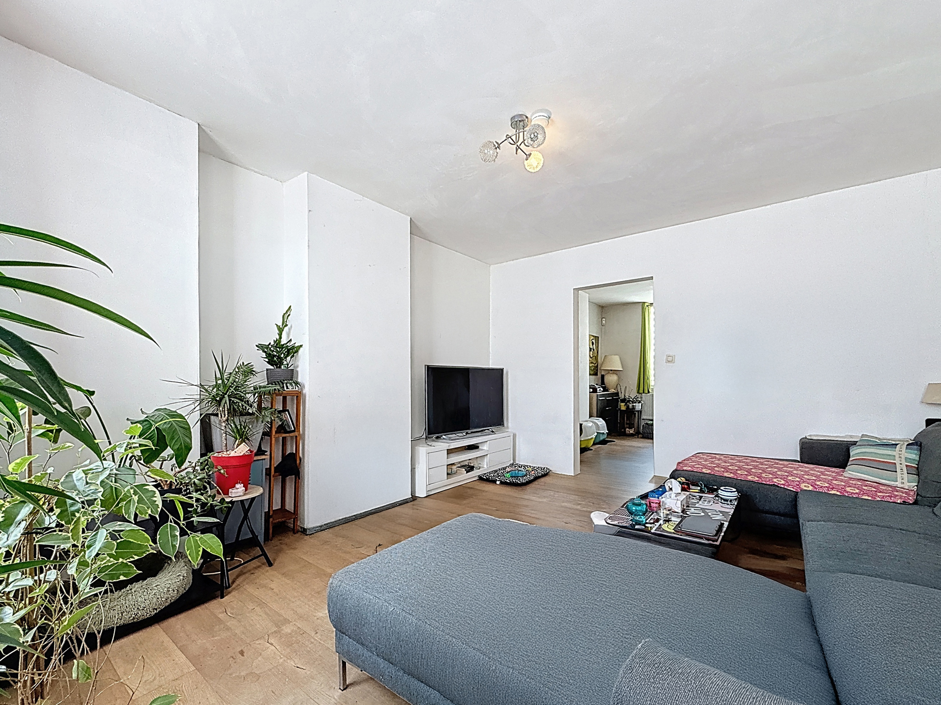 Photo du bien maison de commerce