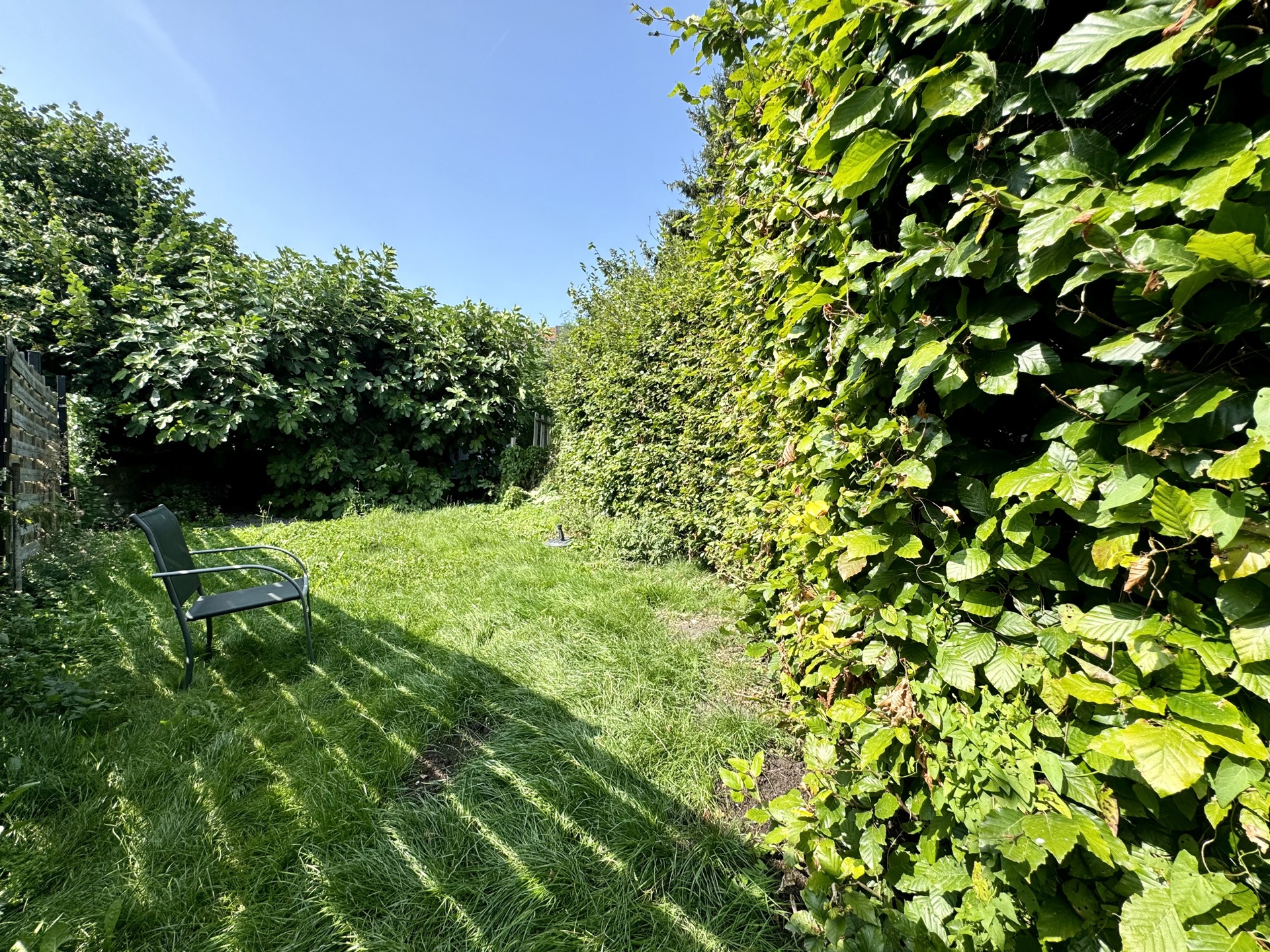 Photo du bien Loft avec terrasse et jardin