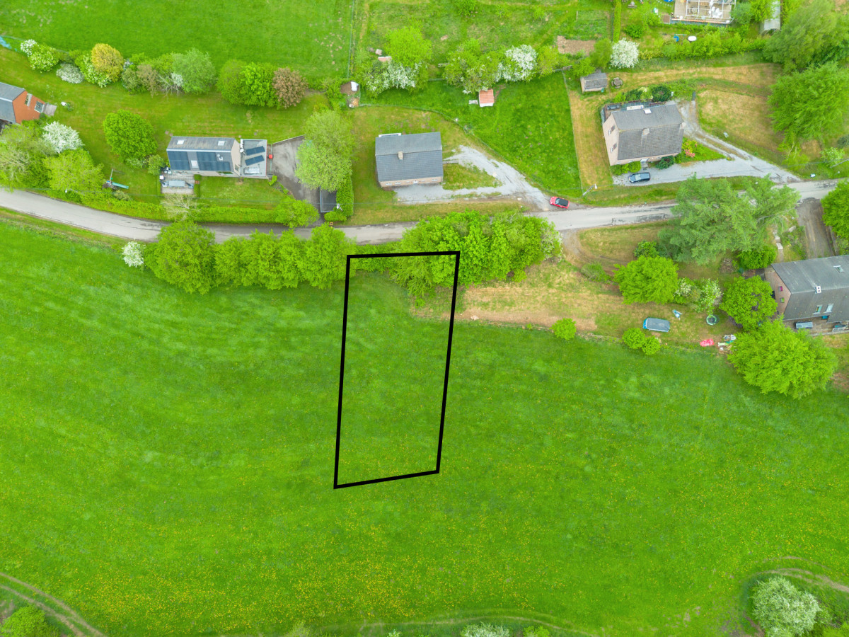 Photo de l annonce