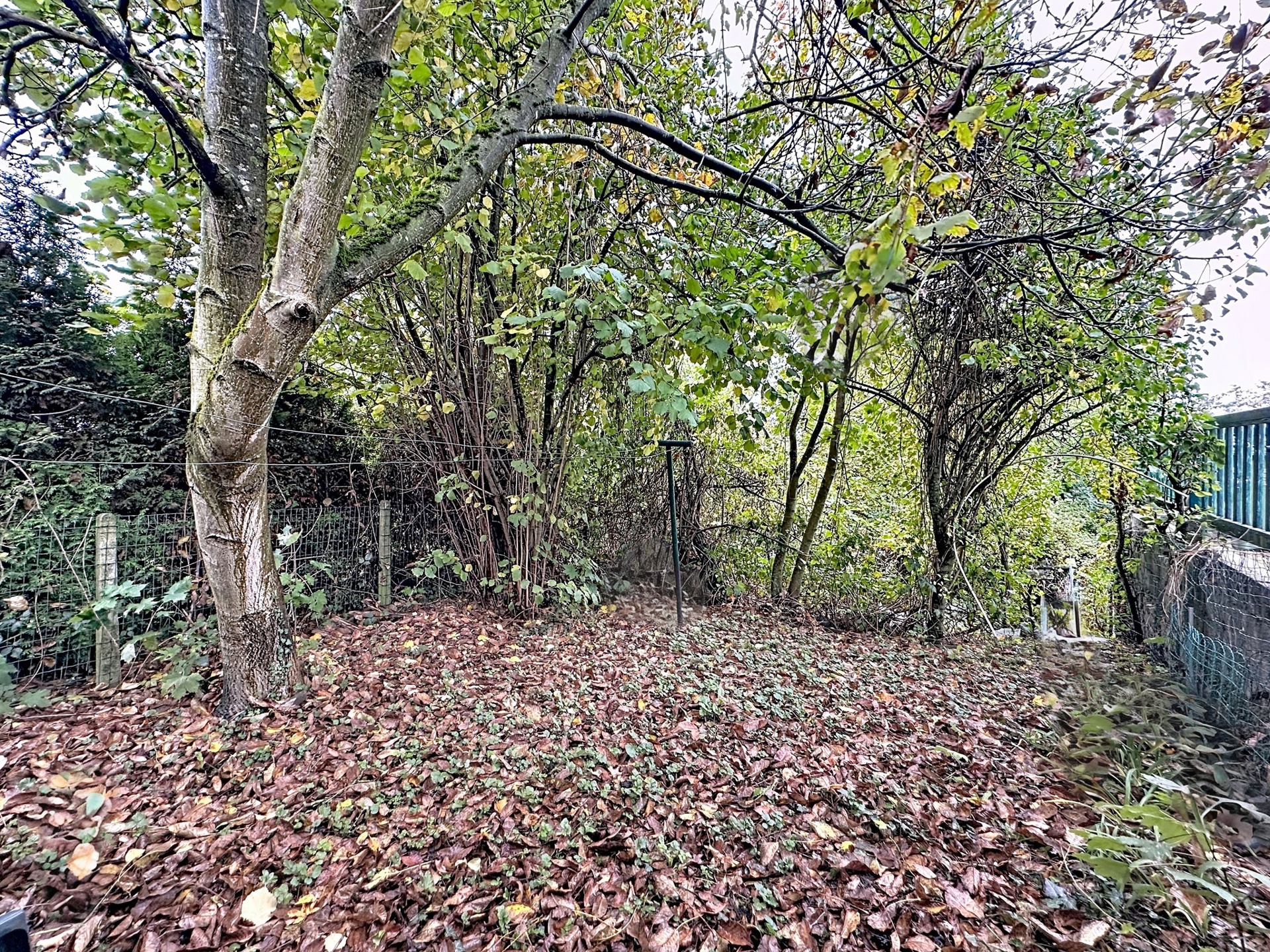Photo du bien Spacieuse maison 4 chambres avec jardin