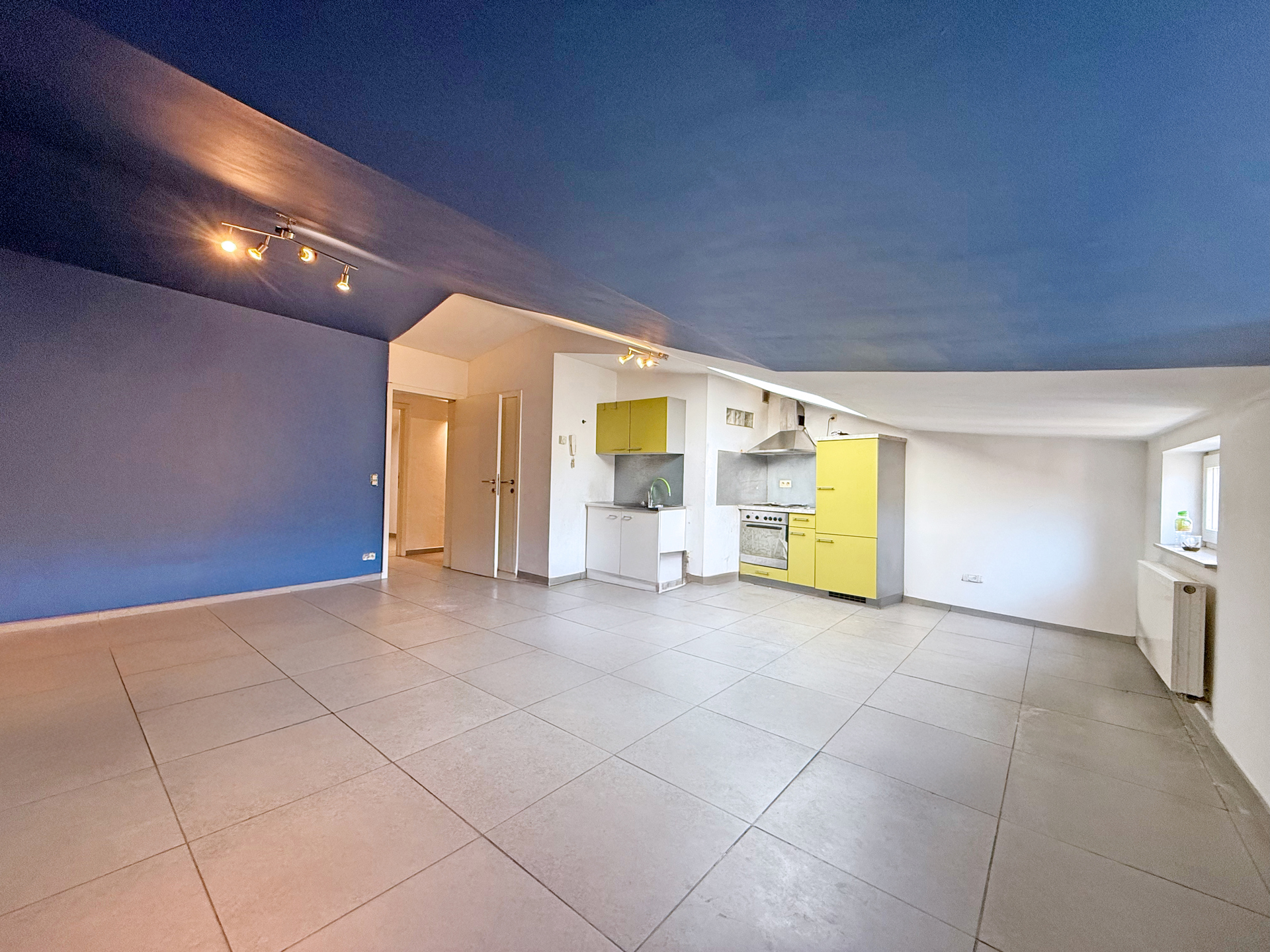 Photo du bien Triplex avec grenier aménagé et deux garages