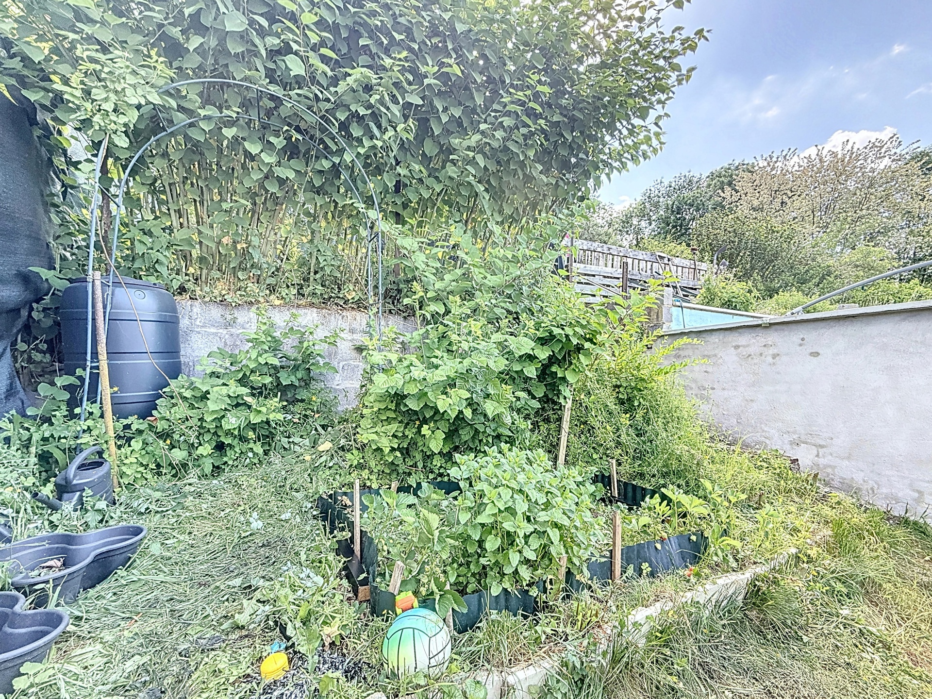 Photo du bien Charmante maison 3 chambres avec jardin