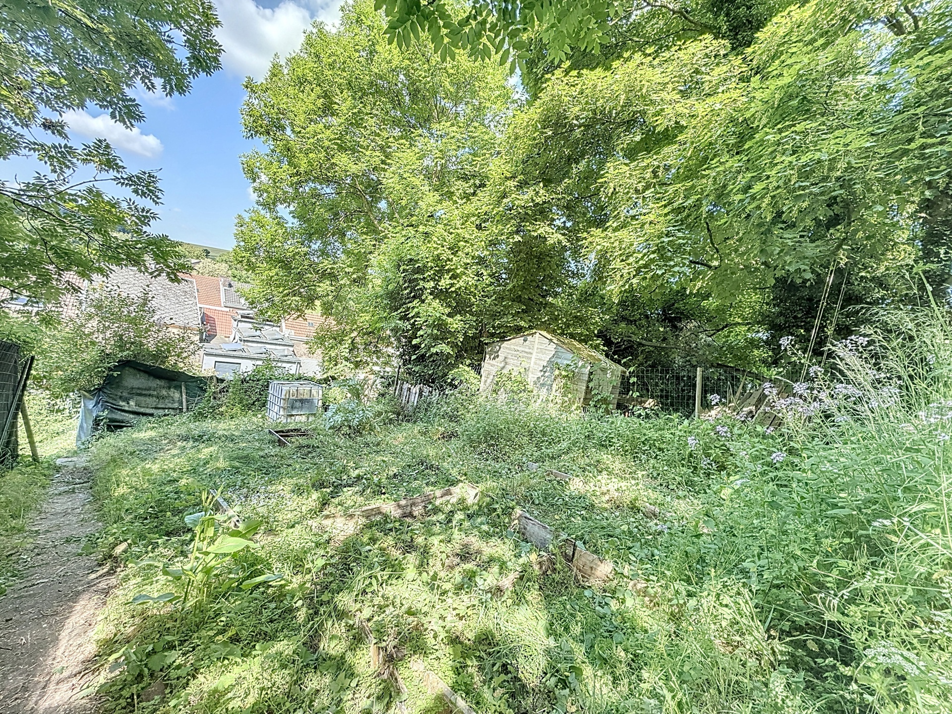 Photo du bien Charmante maison 3 chambres avec jardin