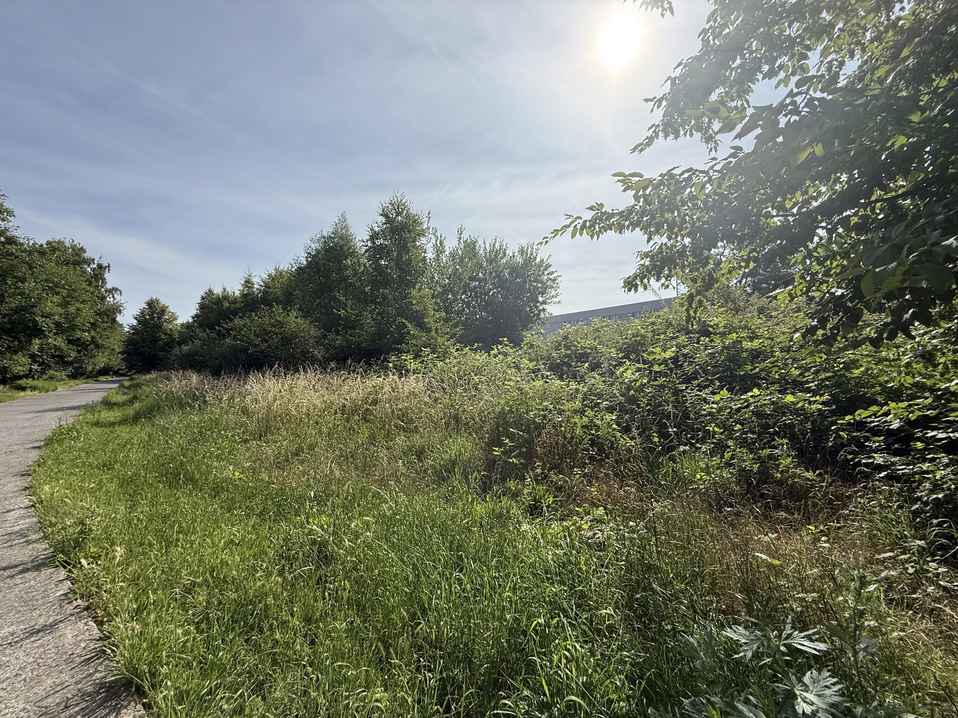 Photo du bien Terrain pour projet immobilier libre de constructeur