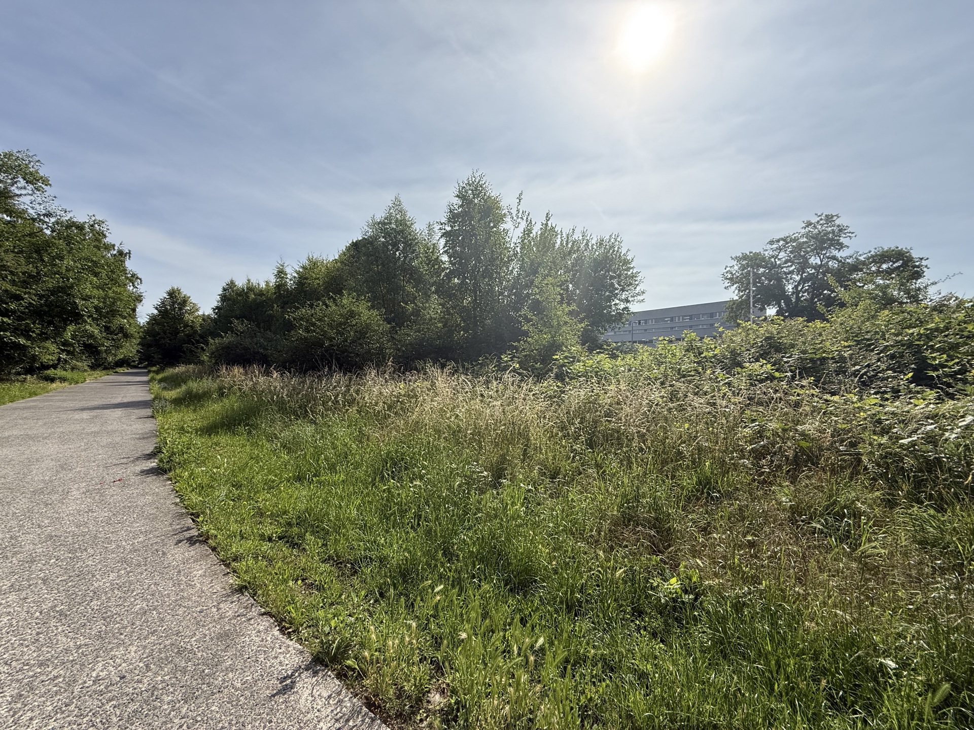 Photo du bien Terrain pour projet immobilier libre de constructeur