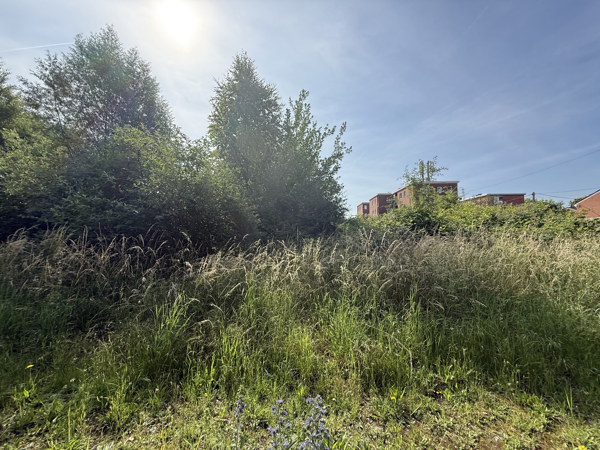 Photo du bien Terrain pour projet immobilier libre de constructeur