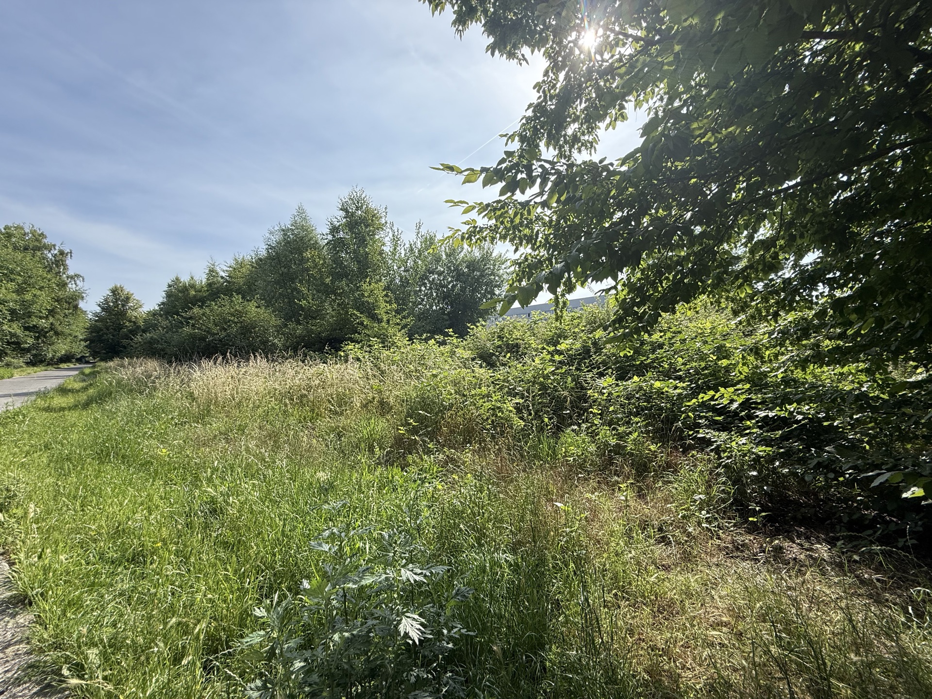 Photo du bien Terrain pour projet immobilier libre de constructeur