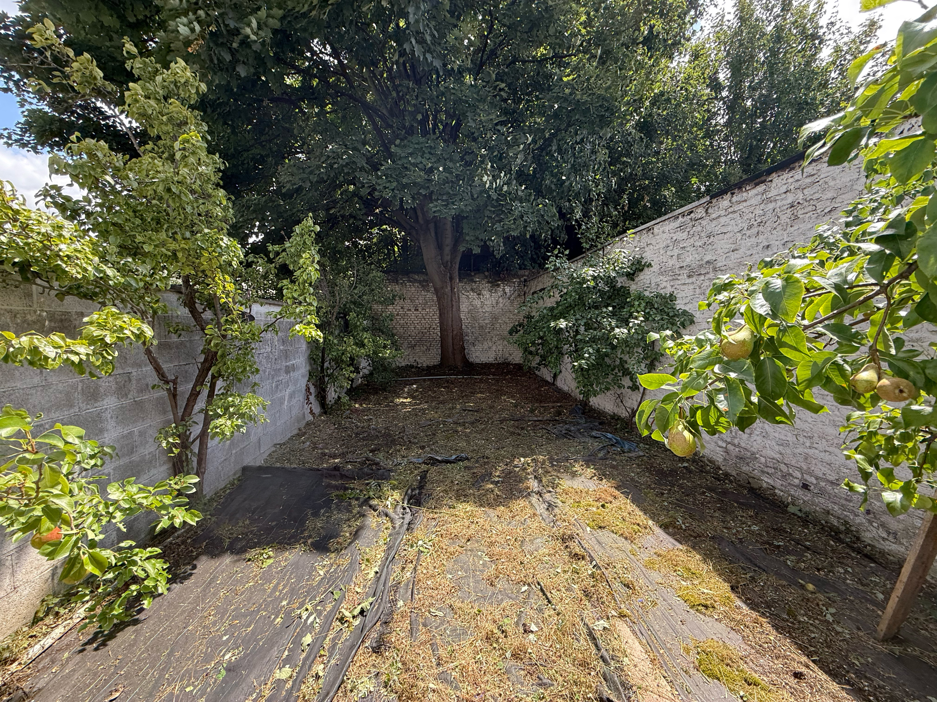 Photo du bien Immeuble mixte à vendre avec jardin