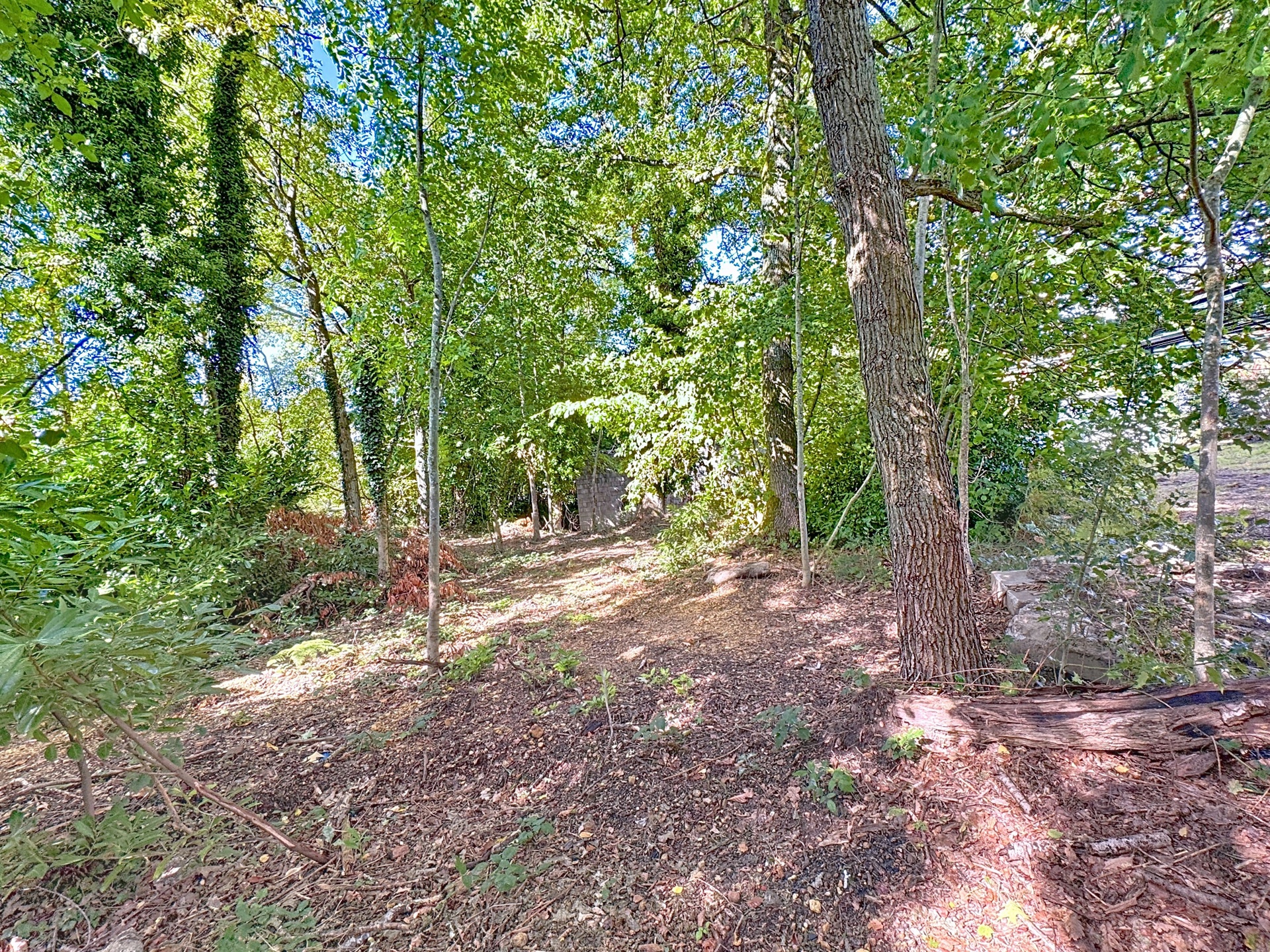 Photo du bien Entrepôt avec terrain polyvalent à deux pas du Country Hall