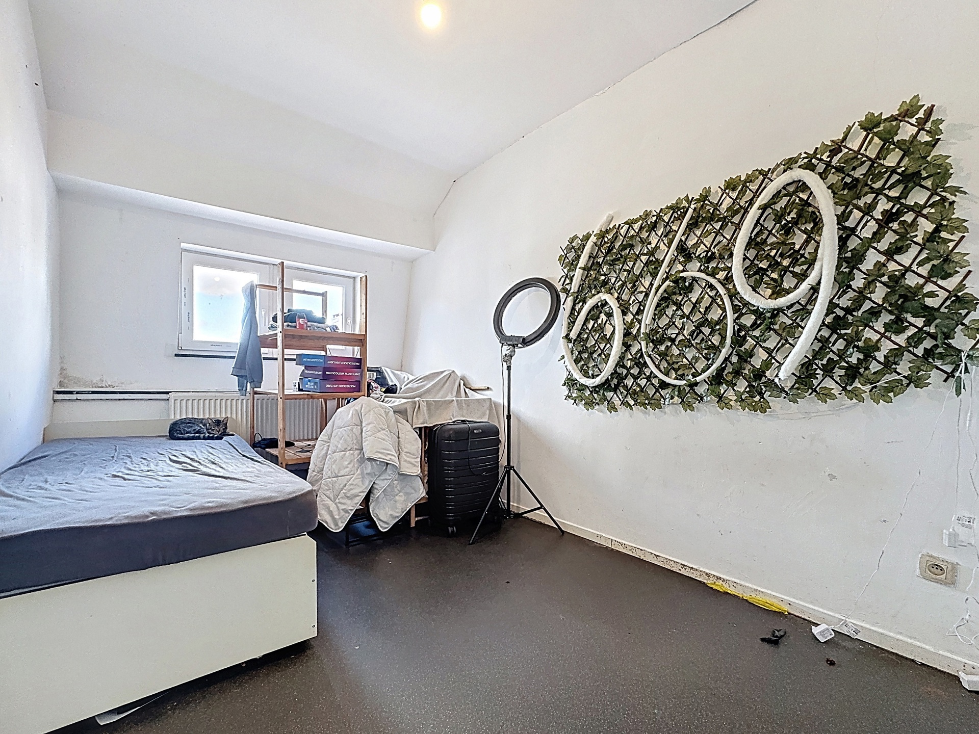Photo du bien Ensemble immobilier avec entrepôt et 3 logements